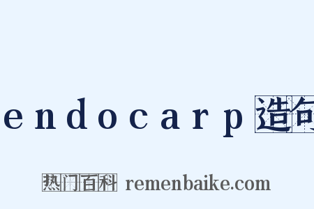 endocarp造句是什么意思的图片